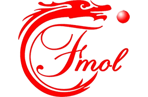Changzhou  Fmol  Macchinari  Tecnologia  Co.,  Ltd